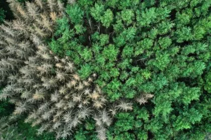 Klimabericht des IPCC: Von Katastrophenmeldung und der Kunst des Weglassens