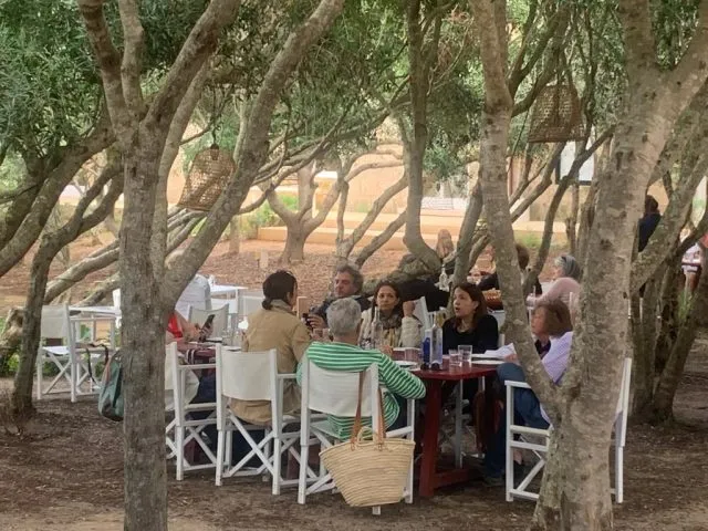 Pause unter Pinien auf der Isla del Rey. Foto Lydia Roeber