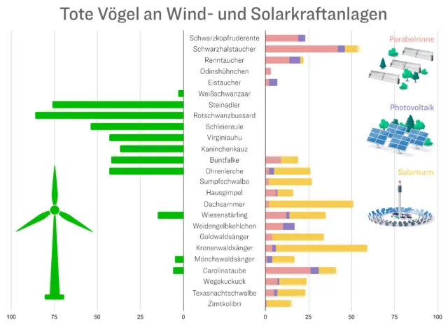Diagramm zur Verteilung der durch Erneuerbare getötete Vögel