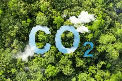 Woher kommt das CO₂ in der Atmosphäre?